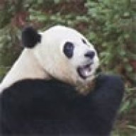PandaBear317