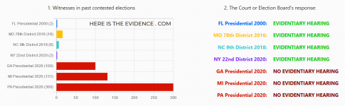 Screenshot_2021-01-16 Evidence Stats on the 2020 Election Here Is The Evidence.png
