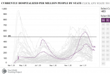 Screenshot_2021-02-08 Hospitalized per Million over Time.png