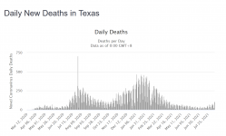 Screenshot_2021-08-12 Texas COVID 3,306,934 Cases and 54,251 Deaths - Worldometer.png