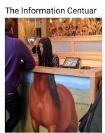 1000036025.jpg