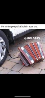 1000036813.jpg
