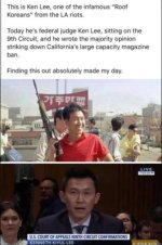 9lgndx3vphed1.jpeg