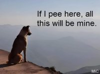 1000037008.jpg