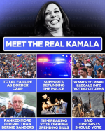 meet-the-real-kamala-v0-n1yjqewd39gd1.png