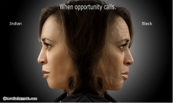 when-opportunity-calls-v0-gp4evhawpfgd1.png