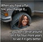 im-worse-off-but-apparently-want-4-more-years-of-it-v0-2i9f84sdkmhd1.png