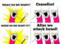 what-do-we-want-v0-nz2fth26zeid1.png