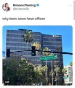 1000037461.jpg