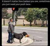 1000037768.jpg
