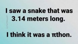 1000039017.jpg