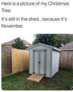1730847932201.png