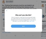 twitter covid censor.jpg