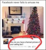 1732377476691.jpeg