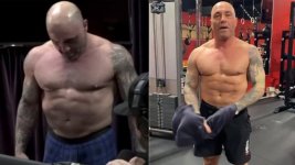Joe Rogan.jpg