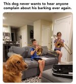 1732666118040.jpeg