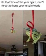 1000039532.jpg