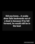 1000039876.jpg