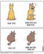 1000039952.jpg