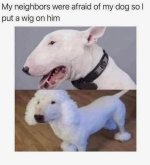 1000040068.jpg