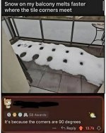 1000040097.jpg