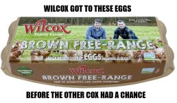 Wilcox Eggs.jpg