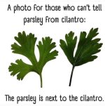 FB_IMG_1745528893599.jpg
