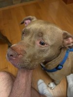 IMG_9080.jpeg