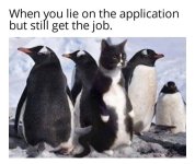 1747587673843.jpeg