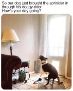 FB_IMG_1747965988714.jpg