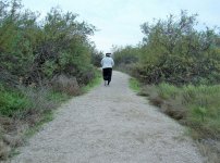 the Path .JPG the Path .JPG