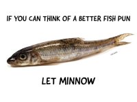 1750004872537.jpeg