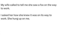 1750950881516.jpeg