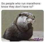FB_IMG_1751781441386.jpg