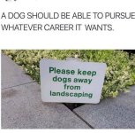 FB_IMG_1751841127627.jpg