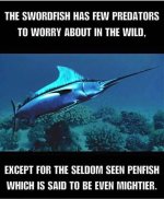 FB_IMG_1752806824174.jpg