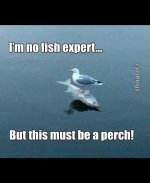 FB_IMG_1757042274473.jpg