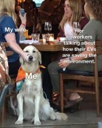 1758387876759.jpeg