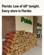 1760907263712.jpeg