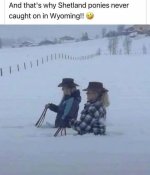FB_IMG_1761540613241.jpg