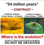FB_IMG_1781208643206.jpg