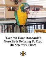 FB_IMG_1782013844684.jpg