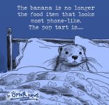FB_IMG_1783293627781.jpg