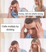 FB_IMG_1785678812923.jpg