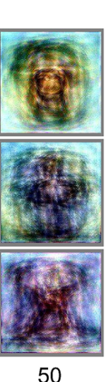 brainimage.png brainimage.png