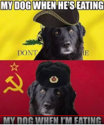 1662584035117.png