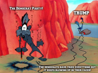 the-democrats-are-as-stupid-as-wile-coyote-and-keep-getting-v0-rugelr189sw91.png