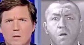 Tucker the stooge.jpg