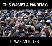 this-wasnt-a-pandemic-v0-1fc1yy8gfj4b1.jpg