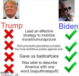 why-biden-is-better-v0-8rrax3gvdnjb1.png